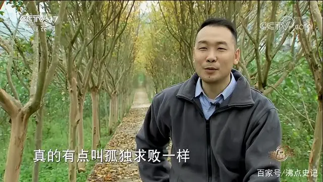 重庆一小伙靠树叶致富一方百姓，频出奇招，利润翻番，年入3500万