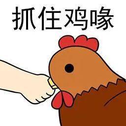 致富录陈雅山_致富经陈波什么树_致富经盆栽果树