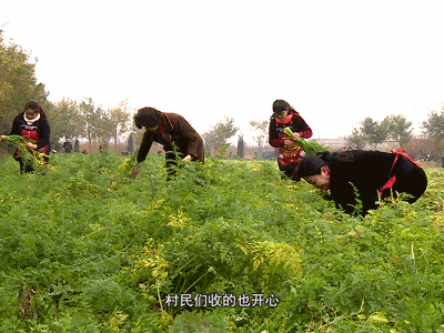致富羊肉加工视频_羊肉深加工致富经_致富羊肉加工厂在哪里