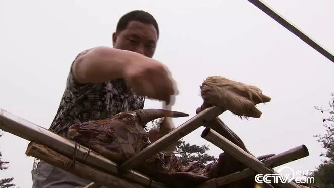 致富羊肉加工视频_羊肉深加工致富经_致富羊肉加工厂地址