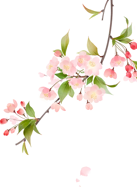 “小花菇”撑起“致富伞”，吴江人社暖心服务直达种植现场