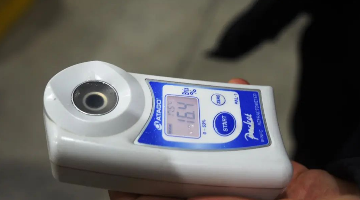 养殖蜜蜂 致富经_蜜蜂致富养殖视频_蜜蜂养殖项目