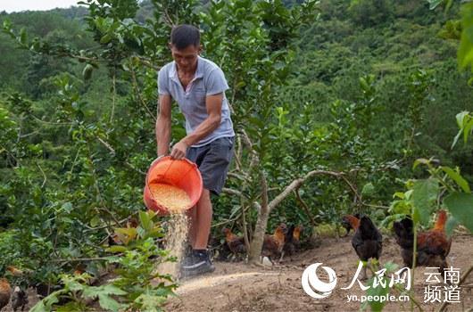 养殖坎高犬的致富经_致富经养殖狗_致富经养犬视频全集
