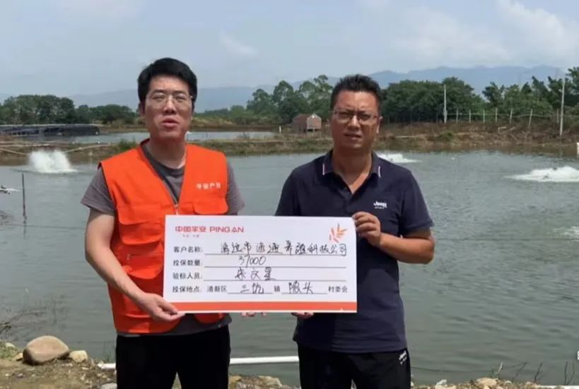 桂花鱼养殖条件和成本_广东养殖桂花鱼技术_桂花鱼苗养殖