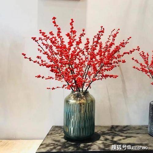 北美致富种植冬青视频_北美致富种植冬青图片_北美冬青种植致富
