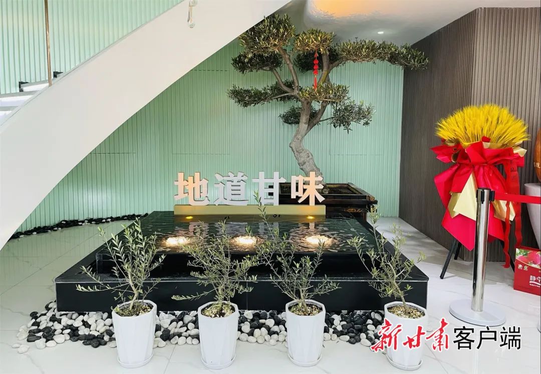 盆栽种植技术蛇果技术要点_蛇果种植条件_蛇果盆栽的种植技术