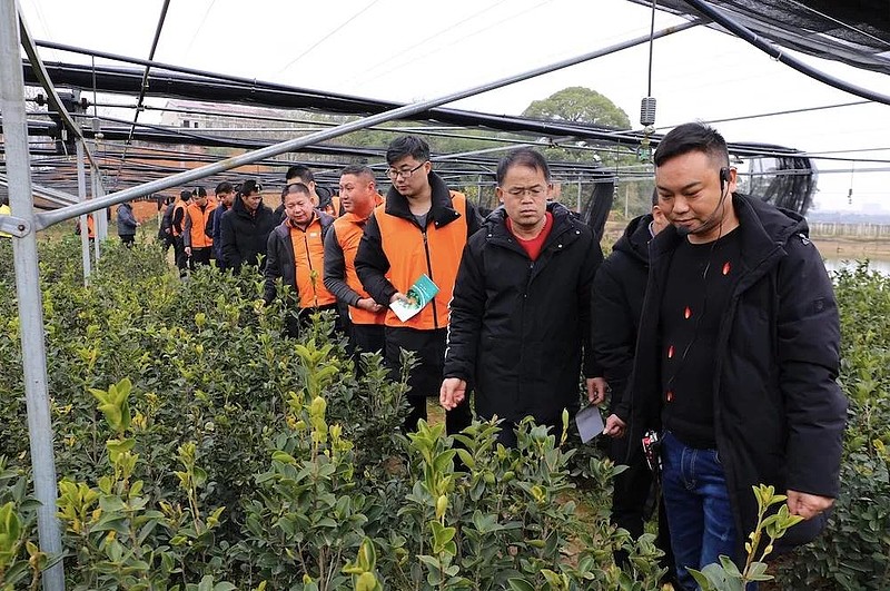 致富种植糖料蔗文案怎么写_致富种植业_致富经2015种植