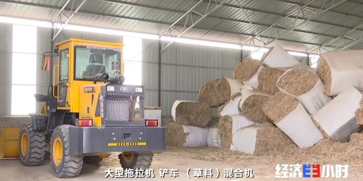 养小尾寒羊赚钱吗_养殖业小尾寒羊_小尾寒羊养殖致富