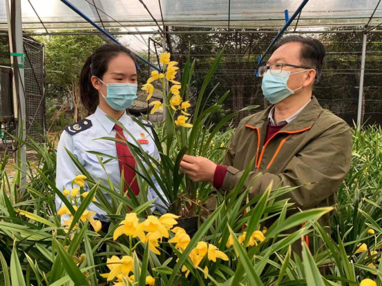 南方种植什么花最值钱_南方致富花种植_南方种植植物
