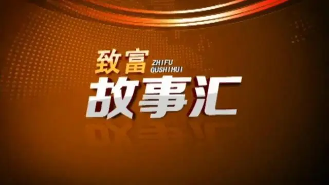 致富经栏目靠种植致富_致富栏目种植靠什么赚钱_致富经种菜视频