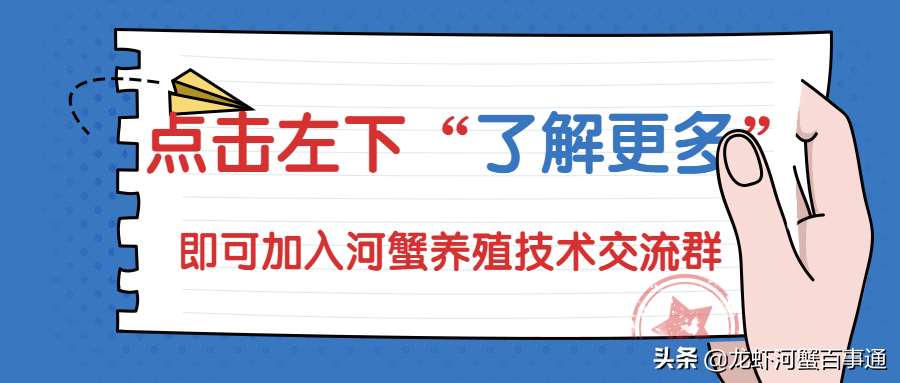养螃蟹致富经_螃蟹致富养殖方法_螃蟹养殖致富经