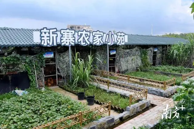 养殖乌龟致富经_乌龟致富养殖技术视频_乌龟养殖户