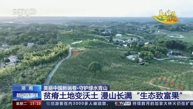 晚春严少伊与诸公联系_发货方式自己联系什么意思_致富经严漫联系方式