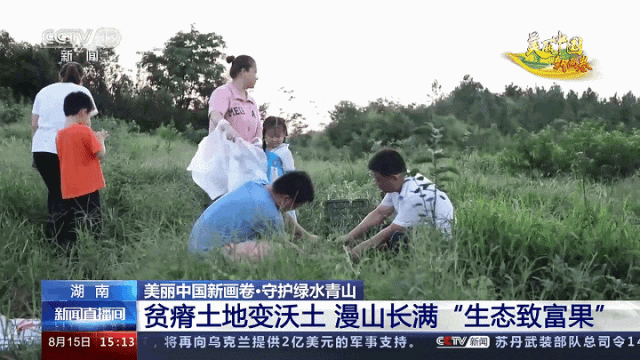 晚春严少伊与诸公联系_致富经严漫联系方式_发货方式自己联系什么意思