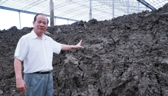 养牛场牛粪可以用什么设备处理_致富经养牛加牛粪利用_用牛粪养猪成功案例