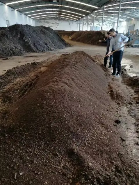养牛场牛粪可以用什么设备处理_用牛粪养猪成功案例_致富经养牛加牛粪利用