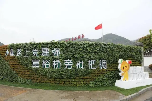 枇杷树种植技术视频_大枇杷树的种植技术_种植树枇杷技术大师是谁