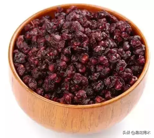 五味子栽培与种植技术_栽培种植五味子技术要点_栽培种植五味子技术与管理