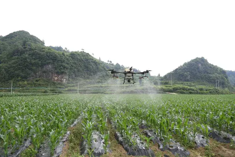 致富种植农业模式是什么_农业致富种植项目_农业种植致富模式