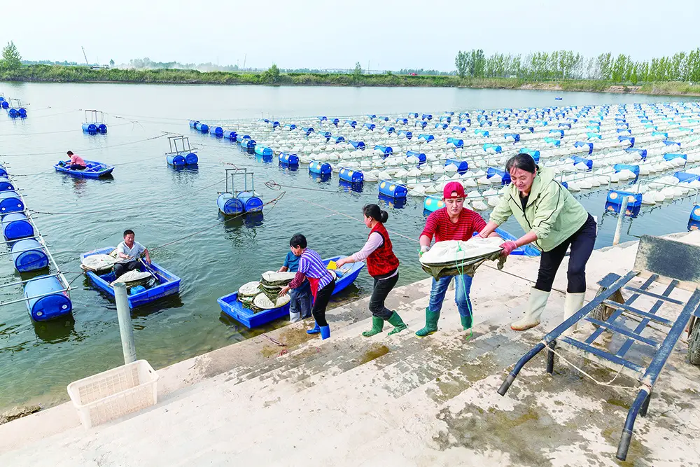 致富经养殖水蛭_致富养殖水蛭视频_致富养殖水蛭赚钱吗