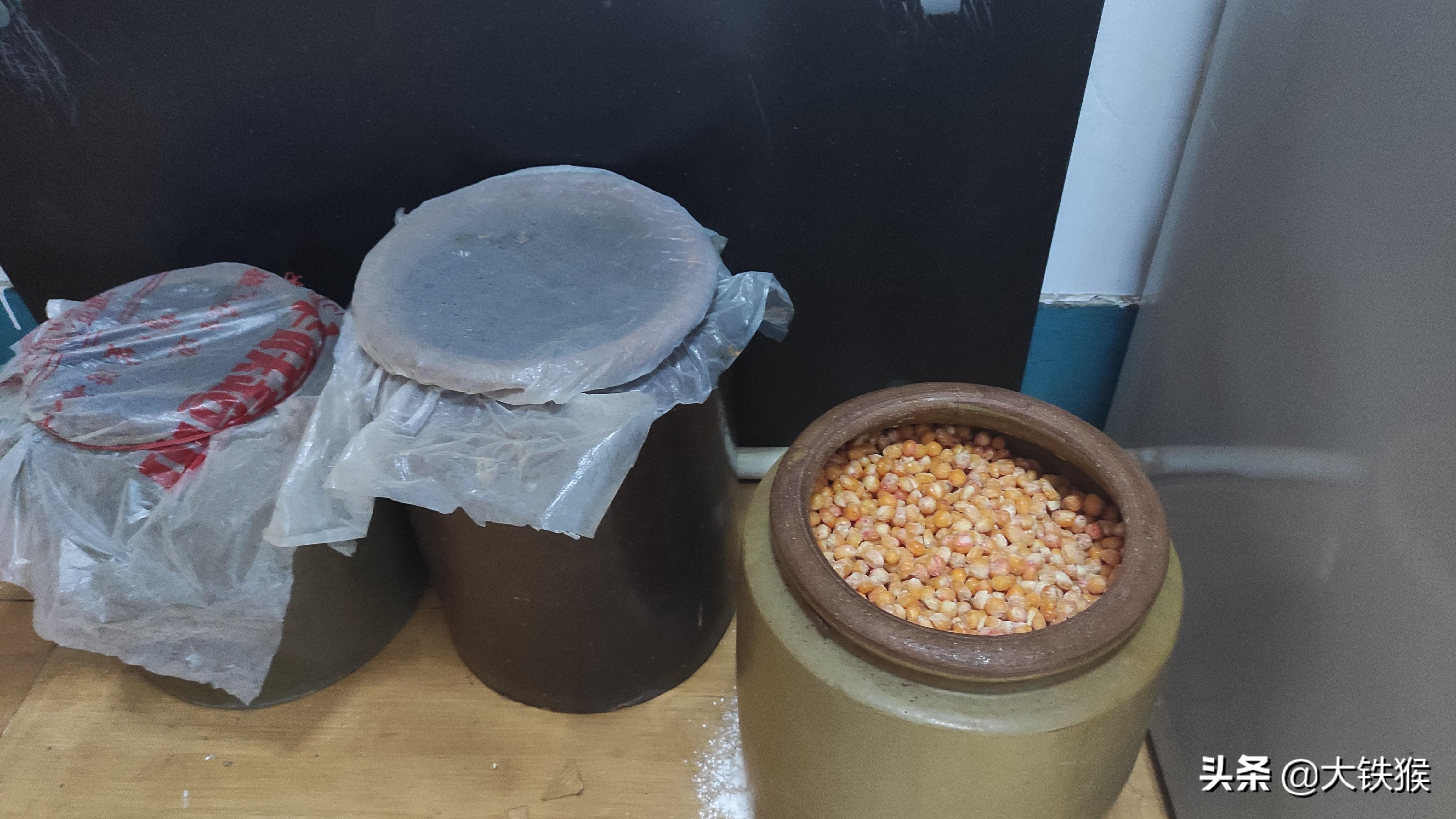 青鱼养殖方法和技术_如何养殖青鱼_养殖青鱼的技术和视频