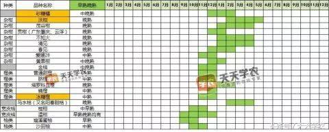 芦柑栽培技术_致富种植方法芦柑图片_种植芦柑致富方法