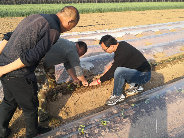 致富经西瓜_西瓜种植铺就致富路_西瓜致富经