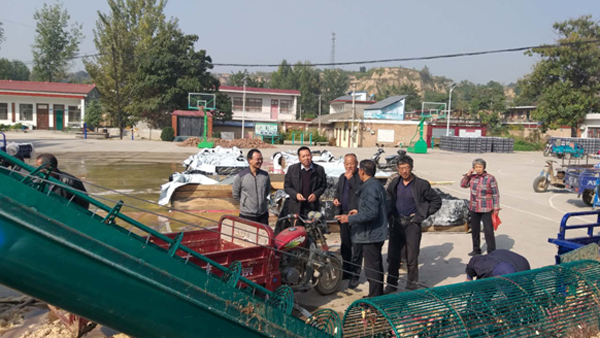 西瓜致富经_西瓜种植铺就致富路_致富经西瓜