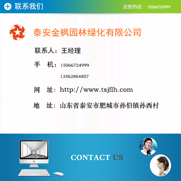 南天竹子怎么种_南天竹播种育苗_南天竹的种植技术