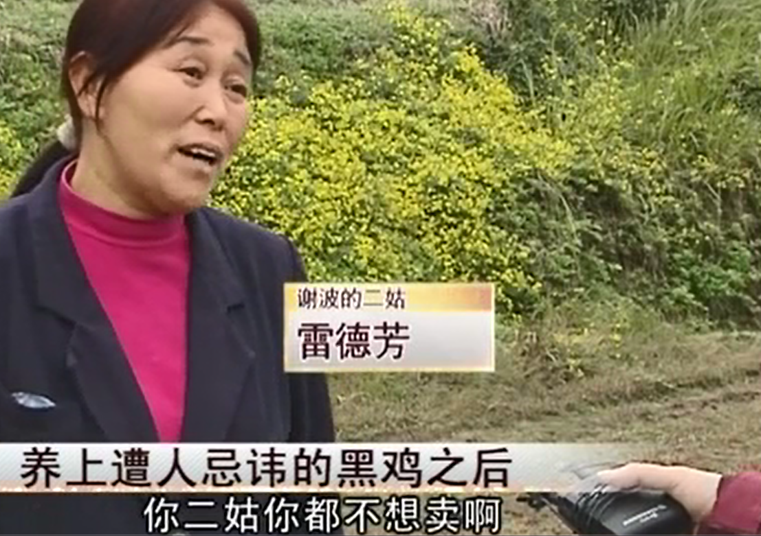 致富经养黑乌鸡全视频_养黑鸡致富经_致富经养土鸡