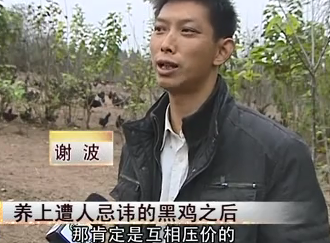 致富经养土鸡_养黑鸡致富经_致富经养黑乌鸡全视频