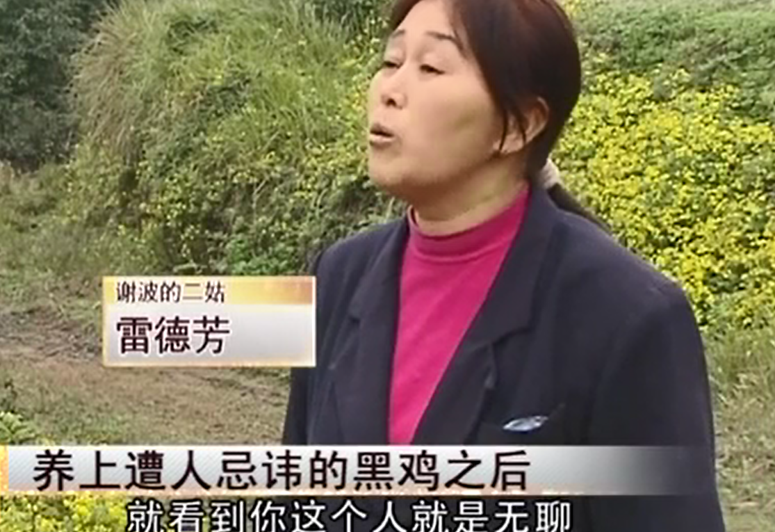 致富经养土鸡_致富经养黑乌鸡全视频_养黑鸡致富经