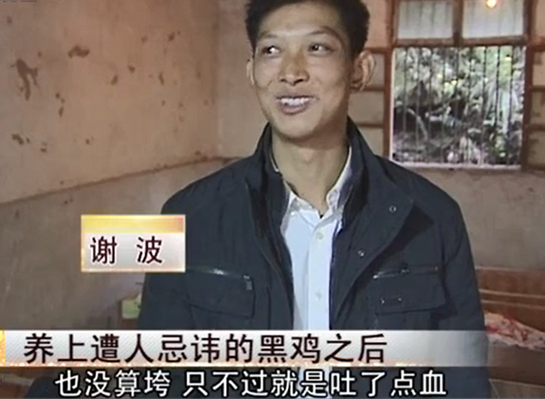 养黑鸡致富经_致富经养土鸡_致富经养黑乌鸡全视频