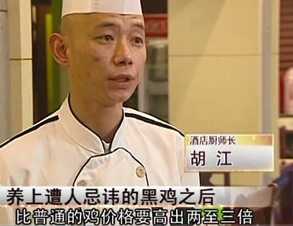 致富经养黑乌鸡全视频_养黑鸡致富经_致富经养土鸡