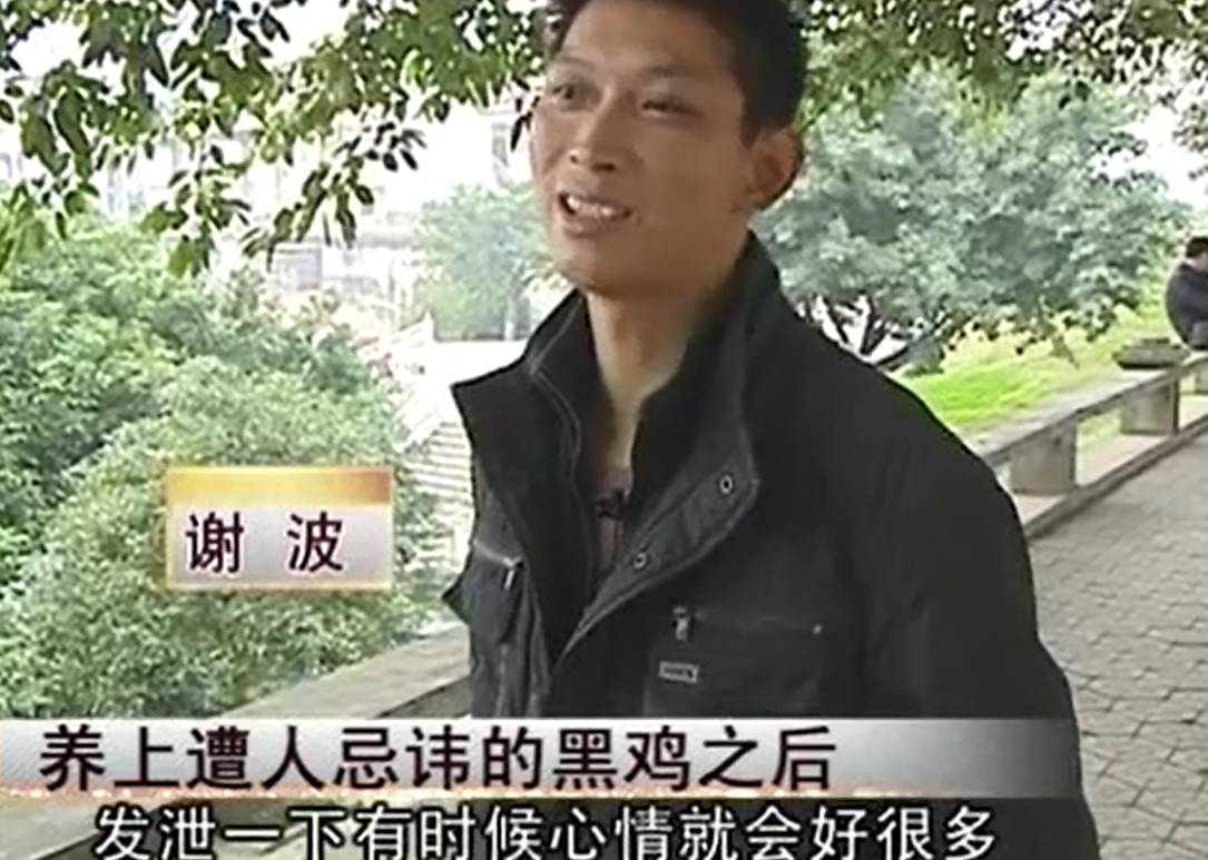 致富经养黑乌鸡全视频_致富经养土鸡_养黑鸡致富经