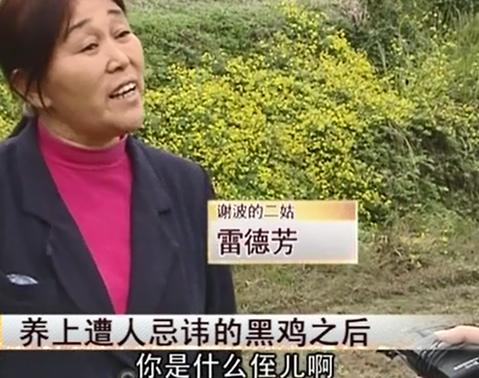 养黑鸡致富经_致富经养黑乌鸡全视频_致富经养土鸡