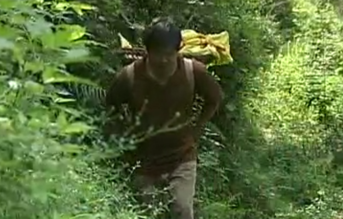 致富经养鸡技术视频_致富经养黑鸡_养黑鸡致富经