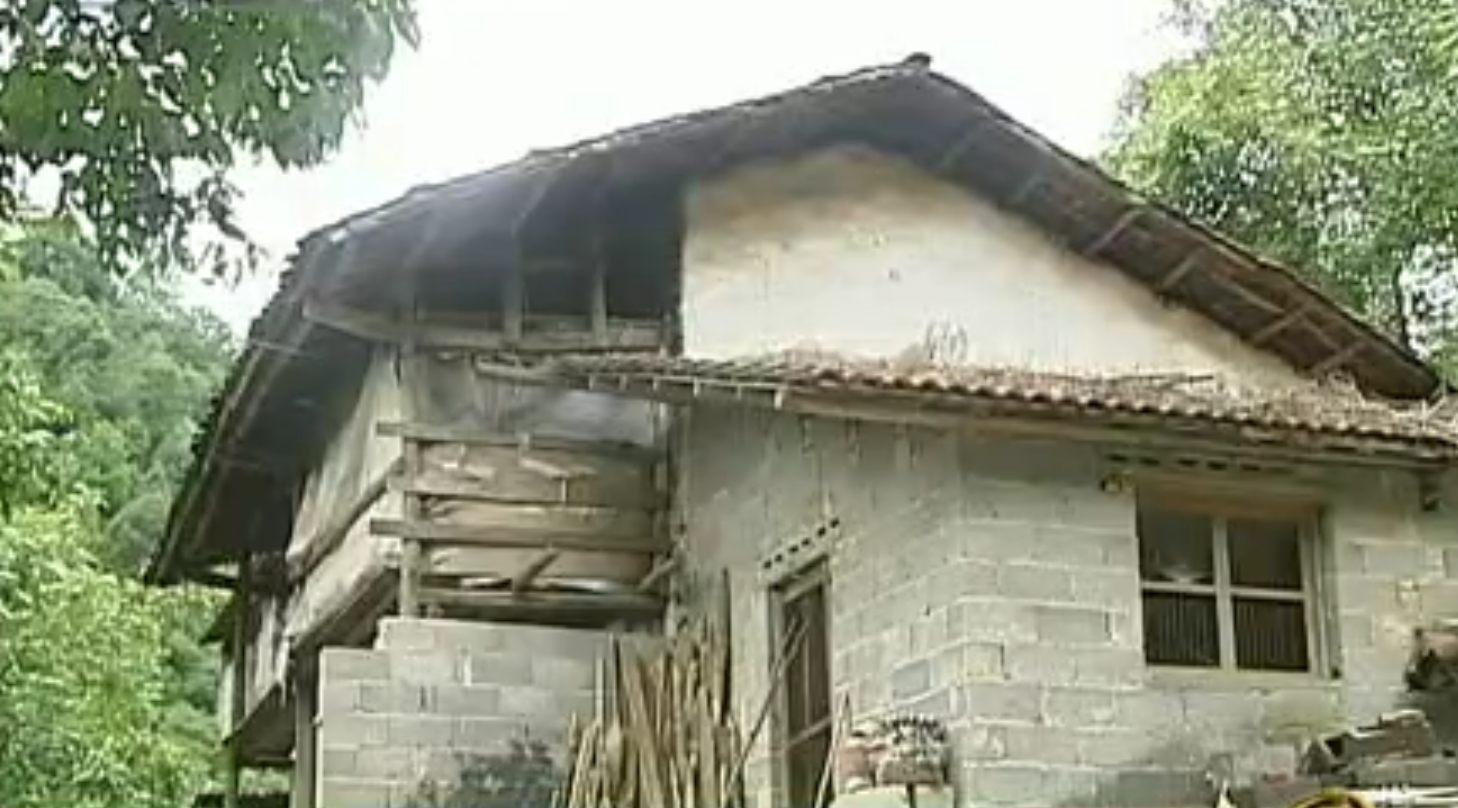 养黑鸡致富经_致富经养鸡技术视频_致富经养黑鸡