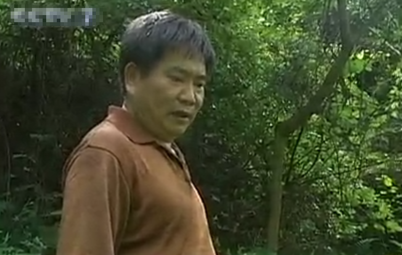 致富经养鸡技术视频_致富经养黑鸡_养黑鸡致富经