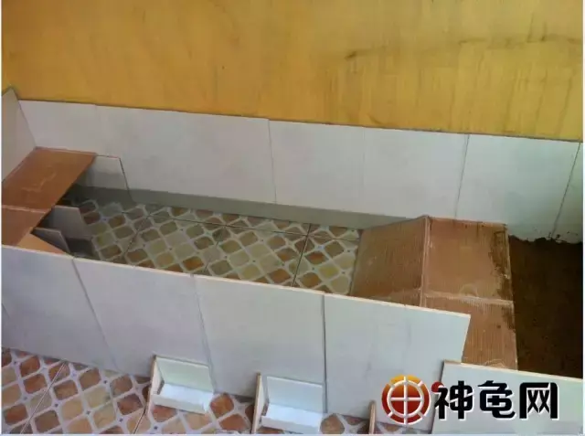 致富经养殖龟视频_致富经龟养殖视频_养龟致富新闻