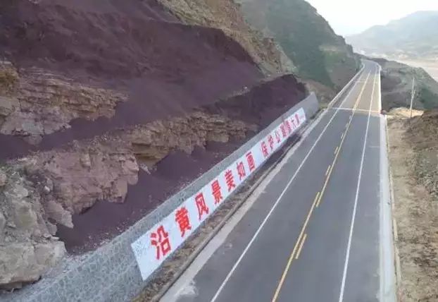 风景树种植致富经_种树致富全部视频_风景树种植致富
