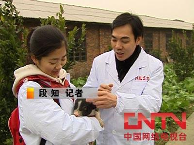 致富经土猪养殖视频_致富经养肥猪_2019养熟食土猪致富经