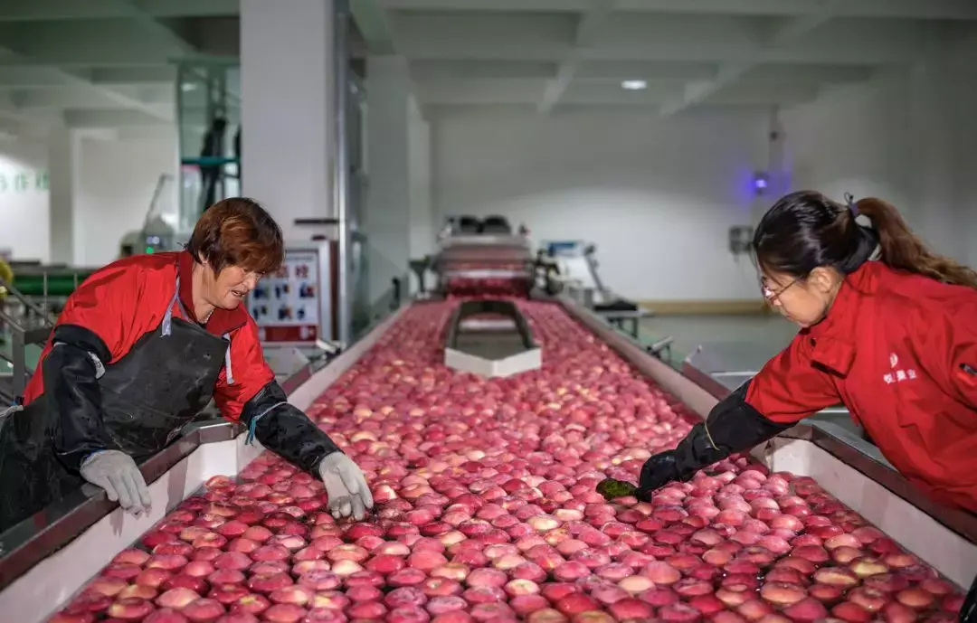 致富经栏目视频全集_视频致富全集栏目有哪些_视频致富全集栏目在线观看