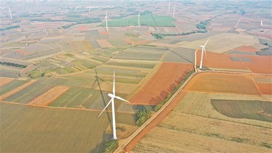 致富厂龙眼加工厂地址_龙眼加工产品_致富经龙眼加工厂