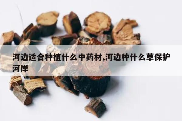 中药材种植致富经_中药种植致富效果_致富中药效果种植有哪些