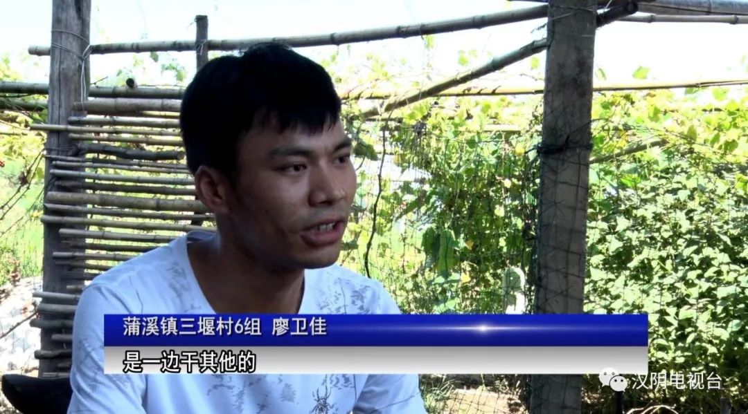 小伙 养殖 致富_致富经小伙养牛奇招_致富小伙养殖老板是谁