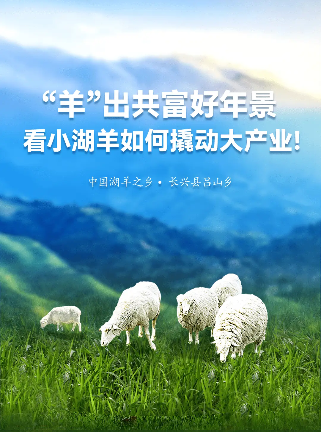 如何靠羊致富？来算算一头湖羊能赚多少钱~