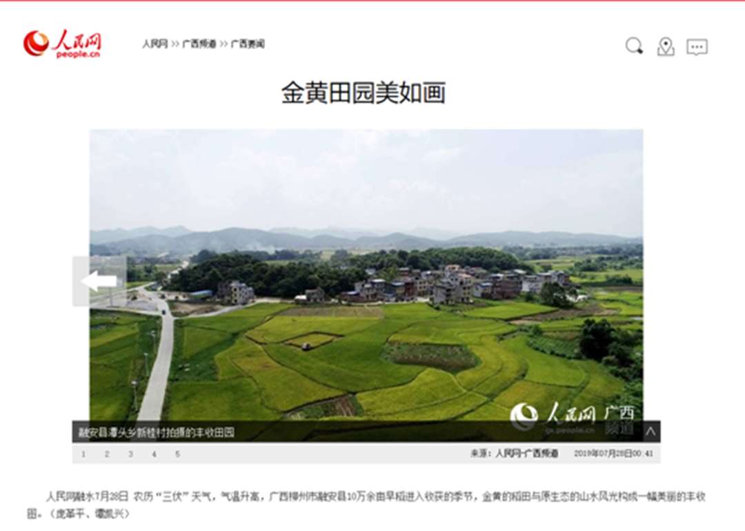 广西适合种植竹荪吗_广西种植竹荪致富_农广天地竹荪种植视频