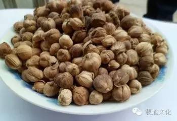 豆蔻种植条件_豆蔻种植效益_豆蔻种植致富热