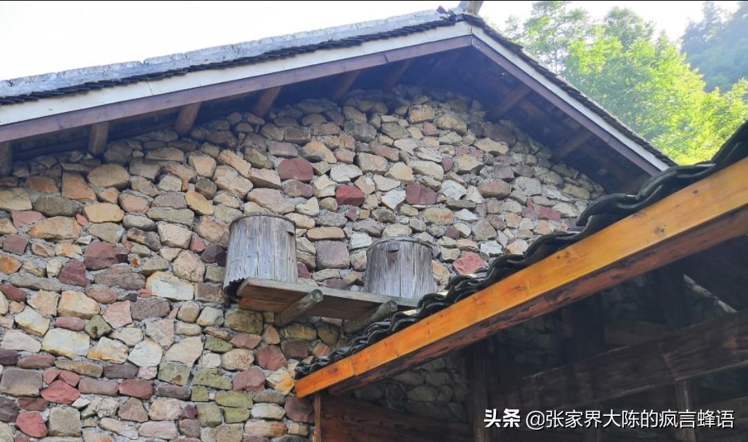 蜂雷平台好不好_蜂信app怎么下载_中蜂养殖技术 迅雷下载